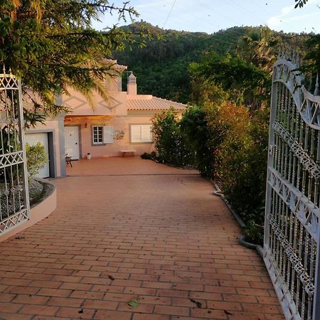 雷森迪Casa Loureiro - Vista Rio Douro别墅 外观 照片