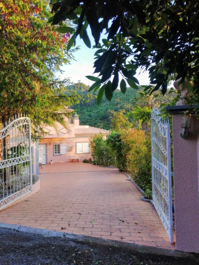 雷森迪Casa Loureiro - Vista Rio Douro别墅 外观 照片