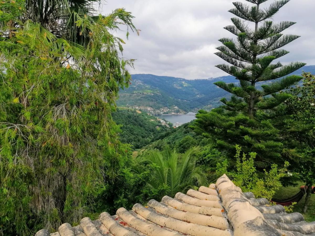 雷森迪Casa Loureiro - Vista Rio Douro别墅 外观 照片