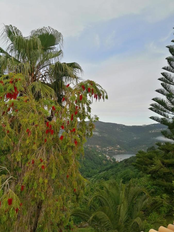 雷森迪Casa Loureiro - Vista Rio Douro别墅 外观 照片